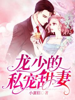 龙少的私宠甜妻免费阅读全文,主角林沁莞龙熠刑小说完整版最新章节