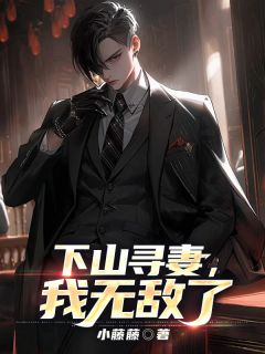 叶晓飞苏梦婉主角的小说完结版下山寻妻，我无敌了全集