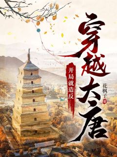 穿越大唐:开局就造反知乎小说最新章节阅读