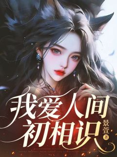 我爱人间初相识免费阅读全文，主角沈枝意江淮川小说完整版