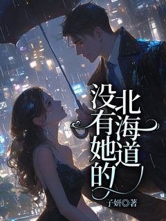 精彩小说没有她的北海道顾知书沈琴全章节在线阅读