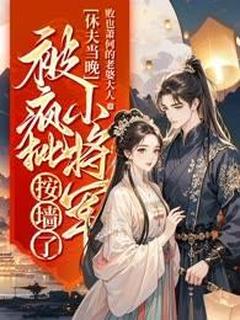 休夫当晚，被疯批小将军按墙了（全本）姜婴沈昭容完整章节列表免费阅读