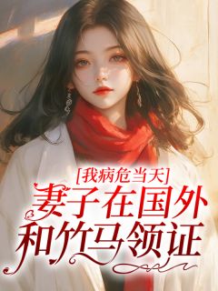 柳如烟傅雨泽林澈我病危当天,妻子在国外和竹马领证小说完整版-欧迈阅读网