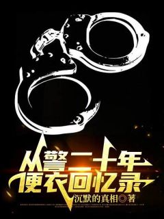 最新小说从警二十年，便衣回忆录主角高峰林宇全文在线阅读