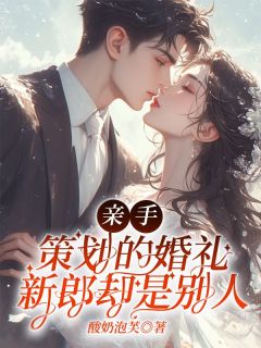 亲手策划的婚礼,新郎却是别人章节目录小说-宋霖白薇陆云泽免费阅读全文-欧迈阅读网