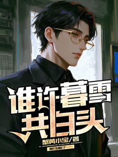 谁许暮雪共白头小说百度云完整章节列表免费阅读