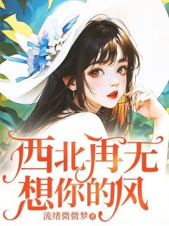 西北再无想你的风(顾佳怡黎淮山)最新章节试读