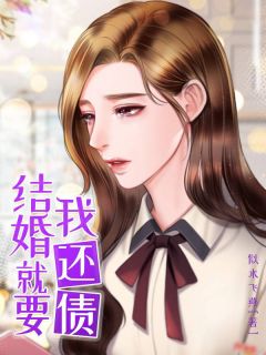 结婚就要我还债李兰林斌免费全章节目录阅读