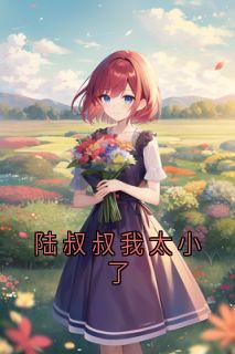 书荒必备陆叔叔我太小了全文章节阅读-欧迈阅读网