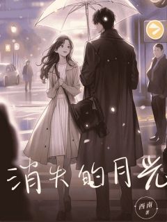 消失的⽉光免费阅读全文,主角陆泽川乔婉儿小说完整版最新章节