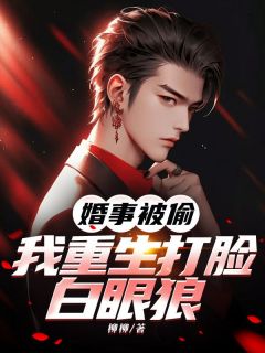 柳柳写的小说婚事被偷，我重生打脸白眼狼在线阅读