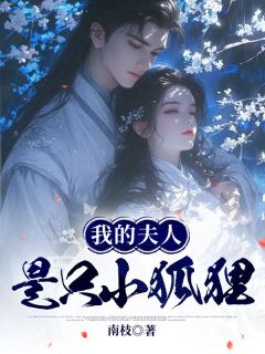 我的夫人是只小狐狸叶青苍叶清轩叶星宇全章节完结版在线阅读