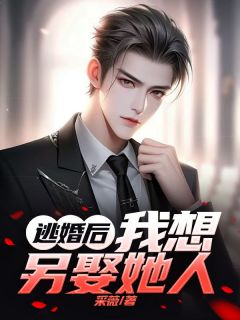 快手热文逃婚后，我想另娶她人蔣欢月沈时白于适之小说推荐