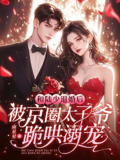 和陆少退婚后，被京圈太子爷跪哄溺宠小说的书名是什么