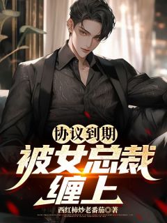 协议到期，被女总裁缠上快手热推叶枫林雨晴免费阅读