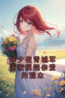 除夕夜青城军区家属院亲爱的观众小说(完整版)-孟泽屿宋欣月章节阅读