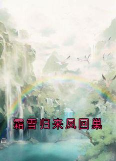 霜雪归来凤回巢by顾夜沉(顾夜沉繁漪)未删节免费阅读