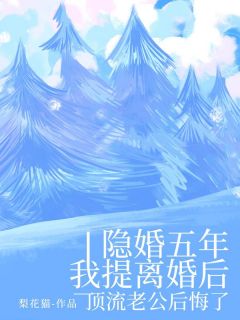 高质量小说隐婚五年我提离婚后,顶流老公后悔了在线试读-欧迈阅读网