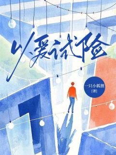 熬夜也要看完的以爱试险小说推荐