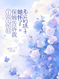 丁克七年后，保姆告诉我她怀了老公的孩子小说免费阅读 苏沫林北笙大结局完整版