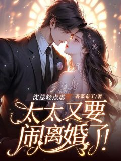 (精品)沈总轻点虐，太太又要闹离婚了！小说