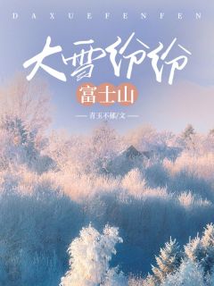大雪纷纷富士山(时媛沈世州)全文完整版阅读