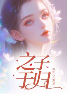 主角是江宁孟昶的小说叫什么之子于归免费全文阅读-欧迈阅读网