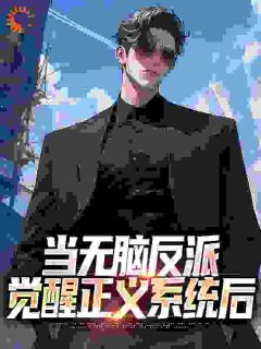 当无脑反派觉醒正义系统后小说(完结版)-徐沐叶桐在线阅读