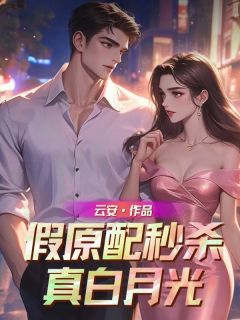 主角司华年裴轻舟的小说作者云安