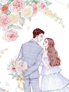 沈初顾言风完整未删减版在线阅读 沈初顾言风结局