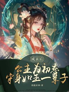 高今茗宋思辰陈柯完整版成亲后,公主为初恋守身如玉一辈子全文最新阅读-欧迈阅读网