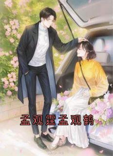 好看的孟观霆孟观鹤小说-孟观霆孟观鹤最新章节阅读
