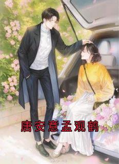 孟观鹤唐安意小说唐安意孟观鹤全文阅读