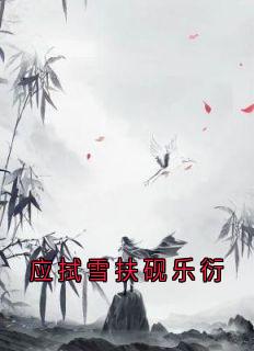 应拭雪扶砚乐衍小说(完整版)-应拭雪扶砚章节阅读-欧迈阅读网