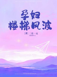 宋倩倩佳佳小说孕妇楼梯风波全文阅读