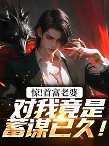 小说惊!首富老婆对我竟是蓄谋已久!主角为叶安丁心慧免费阅读