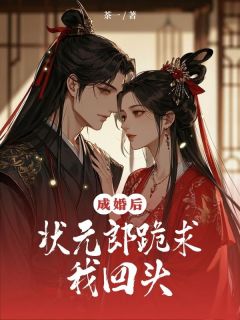 林宁笙宋怀安全文最新章节正版小说免费阅读