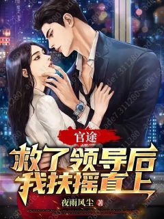 官途:救了领导后我扶摇直上小说全章节目录阅读BY夜雨风尘完结版阅读