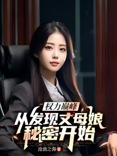 作者沧浪之海写的权力巅峰,从发现丈母娘秘密开始小说大结局全章节阅读