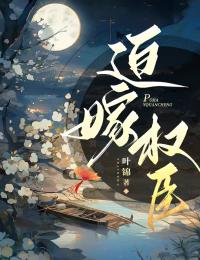 沈若芙江辞年小说无广告阅读