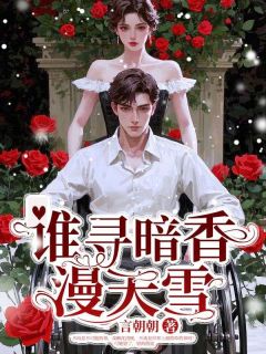 谁寻暗香漫天雪小说最新章节 祝明衍沈离韵结局是什么