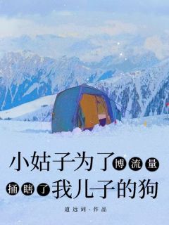 值得熬夜看完的小姑子为了博流量,捅瞎了我儿子的狗小说阅读