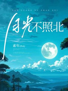 月光不照北小说(完整版)-裴照北林画章节阅读