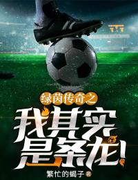 周林梅西C罗绿茵传奇之我其实是条龙全文(周林梅西C罗)章节免费阅读