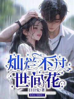 许优菱司向晨沈绾绾全文最新章节正版小说免费阅读