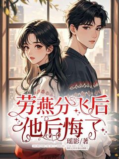 劳燕分飞后他后悔了完整版免费阅读，韩晏沈心谭月小说大结局在哪看