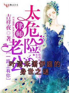 叶清禾萧伊庭的身世之谜无弹窗在线阅读