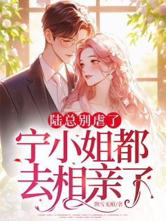 最新小说陆总别虐了,宁小姐都去相亲了主角宁安陆慎川全文在线阅读-欧迈阅读网