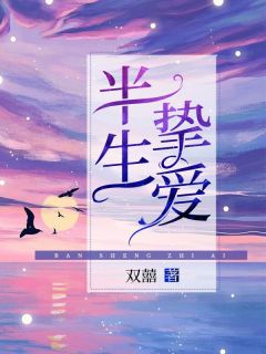 抖音小说半生挚爱，主角夏晚晚沈崇岸最后结局小说全文免费