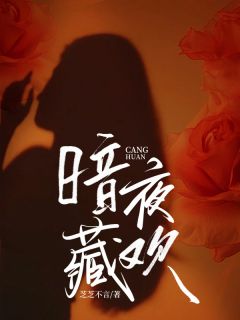 暗夜藏欢苏沫周晋川小说全文章节阅读